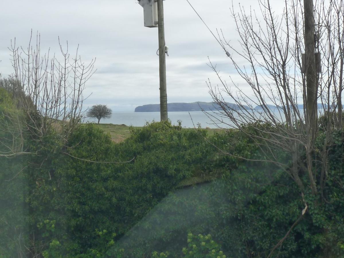 Gwyndaf Holiday Cottage Llangoed Exterior photo