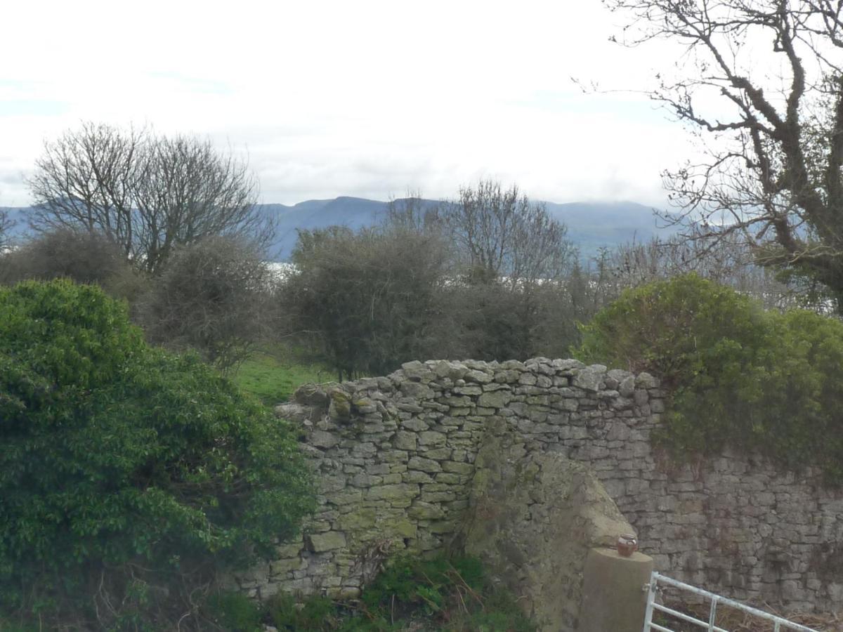 Gwyndaf Holiday Cottage Llangoed Exterior photo