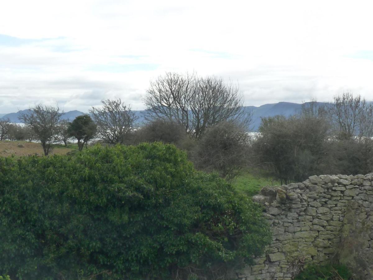 Gwyndaf Holiday Cottage Llangoed Exterior photo
